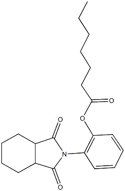 2-(1,3-dioxooctahydro-2H-isoindol-2-yl)phenyl heptanoate 结构式