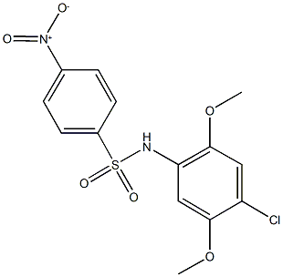 N-(4-chloro-2,5-dimethoxyphenyl)-4-nitrobenzenesulfonamide 结构式