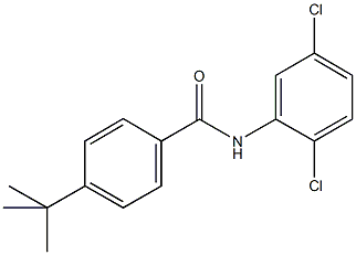 4-tert-butyl-N-(2,5-dichlorophenyl)benzamide 结构式