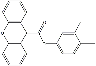 3,4-dimethylphenyl 9H-xanthene-9-carboxylate 结构式