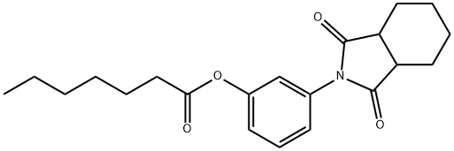 3-(1,3-dioxooctahydro-2H-isoindol-2-yl)phenyl heptanoate 结构式