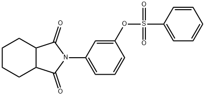 3-(1,3-dioxooctahydro-2H-isoindol-2-yl)phenyl benzenesulfonate 结构式
