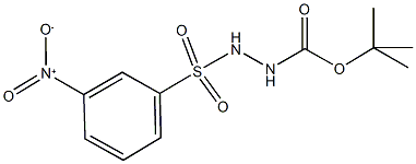 tert-butyl 2-({3-nitrophenyl}sulfonyl)hydrazinecarboxylate 结构式