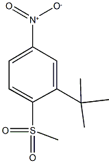 2-tert-butyl-1-(methylsulfonyl)-4-nitrobenzene 结构式