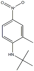 N-(tert-butyl)-2-methyl-4-nitroaniline 结构式