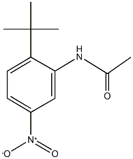 N-{2-tert-butyl-5-nitrophenyl}acetamide 结构式