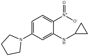 1-{3-(cyclopropylamino)-4-nitrophenyl}pyrrolidine 结构式