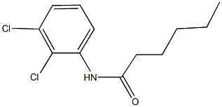 N-(2,3-dichlorophenyl)hexanamide 结构式