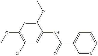 N-(5-chloro-2,4-dimethoxyphenyl)nicotinamide 结构式