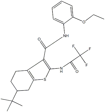 6-tert-butyl-N-(2-ethoxyphenyl)-2-[(trifluoroacetyl)amino]-4,5,6,7-tetrahydro-1-benzothiophene-3-carboxamide 结构式