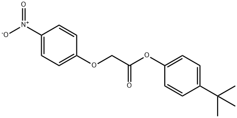 4-tert-butylphenyl {4-nitrophenoxy}acetate 结构式