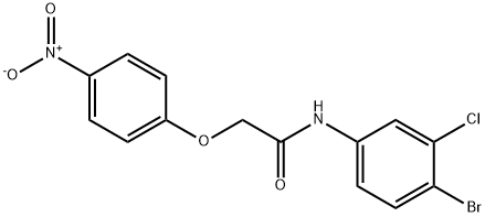 N-(4-bromo-3-chlorophenyl)-2-{4-nitrophenoxy}acetamide 结构式