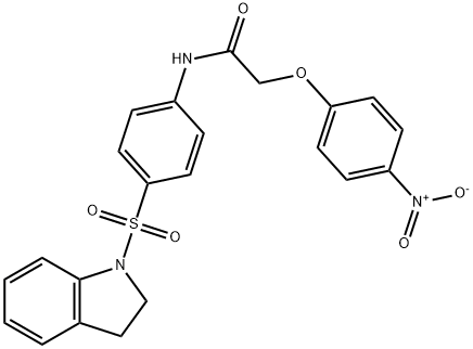 N-[4-(2,3-dihydro-1H-indol-1-ylsulfonyl)phenyl]-2-{4-nitrophenoxy}acetamide 结构式