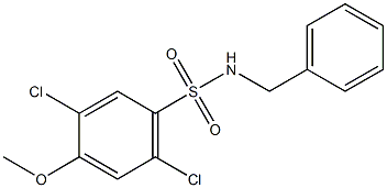 N-benzyl-2,5-dichloro-4-methoxybenzenesulfonamide 结构式