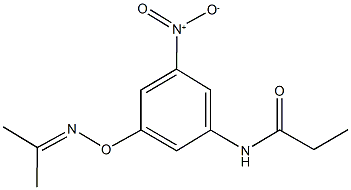 N-(3-nitro-5-{[(1-methylethylidene)amino]oxy}phenyl)propanamide 结构式