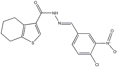 N'-{4-chloro-3-nitrobenzylidene}-4,5,6,7-tetrahydro-1-benzothiophene-3-carbohydrazide 结构式