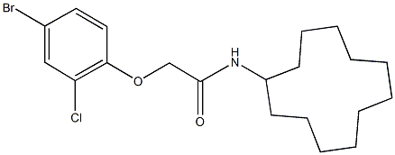 2-(4-bromo-2-chlorophenoxy)-N-cyclododecylacetamide 结构式