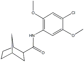N-(4-chloro-2,5-dimethoxyphenyl)bicyclo[2.2.1]heptane-2-carboxamide 结构式