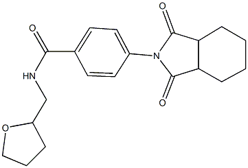 4-(1,3-dioxooctahydro-2H-isoindol-2-yl)-N-(tetrahydro-2-furanylmethyl)benzamide 结构式