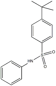 4-tert-butyl-N-phenylbenzenesulfonamide 结构式