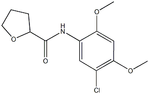N-(5-chloro-2,4-dimethoxyphenyl)tetrahydrofuran-2-carboxamide 结构式