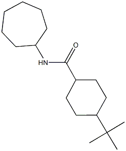 4-tert-butyl-N-cycloheptylcyclohexanecarboxamide 结构式