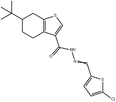 6-tert-butyl-N'-[(5-chloro-2-thienyl)methylene]-4,5,6,7-tetrahydro-1-benzothiophene-3-carbohydrazide 结构式