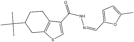 6-tert-butyl-N'-[(5-methyl-2-furyl)methylene]-4,5,6,7-tetrahydro-1-benzothiophene-3-carbohydrazide 结构式