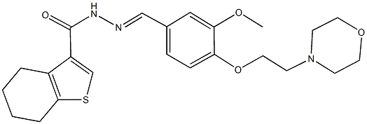 N'-{3-methoxy-4-[2-(4-morpholinyl)ethoxy]benzylidene}-4,5,6,7-tetrahydro-1-benzothiophene-3-carbohydrazide 结构式