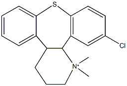 12-chloro-1,1-dimethyl-1,2,3,4,4a,13b-hexahydrodibenzo[2,3:6,7]thiepino[4,5-b]pyridin-1-ium 结构式