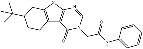 2-(7-tert-butyl-4-oxo-5,6,7,8-tetrahydro[1]benzothieno[2,3-d]pyrimidin-3(4H)-yl)-N-phenylacetamide 结构式