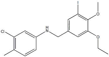 N-(3-chloro-4-methylphenyl)-N-(3-ethoxy-5-iodo-4-methoxybenzyl)amine 结构式