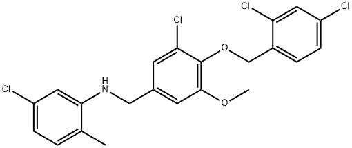 5-chloro-N-{3-chloro-4-[(2,4-dichlorobenzyl)oxy]-5-methoxybenzyl}-2-methylaniline 结构式