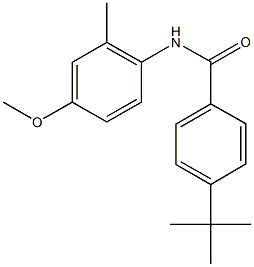 4-tert-butyl-N-(4-methoxy-2-methylphenyl)benzamide 结构式
