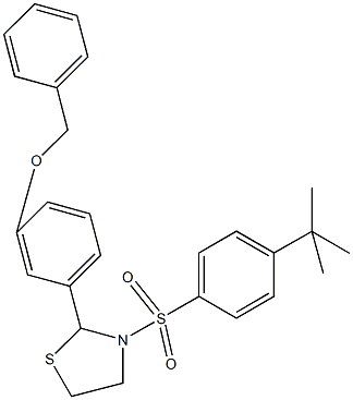 benzyl 3-{3-[(4-tert-butylphenyl)sulfonyl]-1,3-thiazolidin-2-yl}phenyl ether 结构式