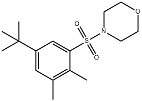 4-[(5-tert-butyl-2,3-dimethylphenyl)sulfonyl]morpholine 结构式