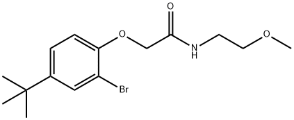 2-(2-bromo-4-tert-butylphenoxy)-N-(2-methoxyethyl)acetamide 结构式