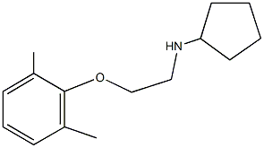 N-cyclopentyl-N-[2-(2,6-dimethylphenoxy)ethyl]amine 结构式