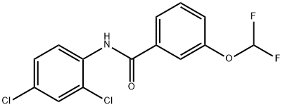 N-(2,4-dichlorophenyl)-3-(difluoromethoxy)benzamide 结构式