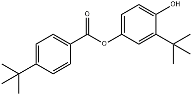 3-tert-butyl-4-hydroxyphenyl 4-tert-butylbenzoate 结构式
