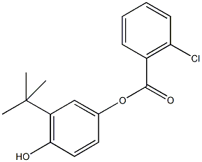 3-tert-butyl-4-hydroxyphenyl 2-chlorobenzoate 结构式