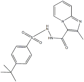 4-tert-butyl-N'-[(2-methylimidazo[1,2-a]pyridin-3-yl)carbonyl]benzenesulfonohydrazide 结构式