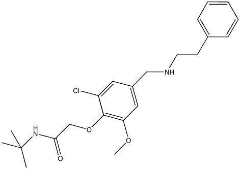 N-(tert-butyl)-2-(2-chloro-6-methoxy-4-{[(2-phenylethyl)amino]methyl}phenoxy)acetamide 结构式