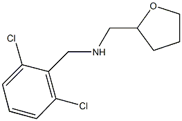 N-(2,6-dichlorobenzyl)-N-(tetrahydro-2-furanylmethyl)amine 结构式