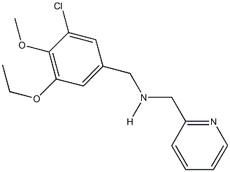 N-(3-chloro-5-ethoxy-4-methoxybenzyl)-N-(2-pyridinylmethyl)amine 结构式
