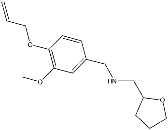 N-[4-(allyloxy)-3-methoxybenzyl]-N-(tetrahydro-2-furanylmethyl)amine 结构式