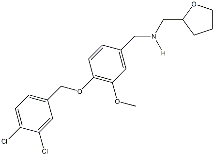 N-{4-[(3,4-dichlorobenzyl)oxy]-3-methoxybenzyl}-N-(tetrahydro-2-furanylmethyl)amine 结构式