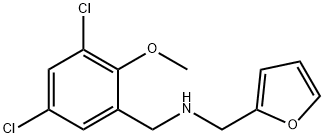 N-(3,5-dichloro-2-methoxybenzyl)-N-(2-furylmethyl)amine 结构式