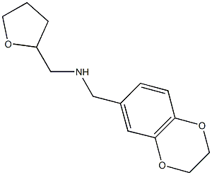 N-(2,3-dihydro-1,4-benzodioxin-6-ylmethyl)-N-(tetrahydro-2-furanylmethyl)amine 结构式