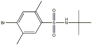 4-bromo-N-(tert-butyl)-2,5-dimethylbenzenesulfonamide 结构式
